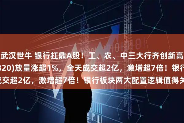 武汉世牛 银行扛鼎A股！工、农、中三大行齐创新高，银行ETF龙头(512820)放量涨超1%，全天成交超2亿，激增超7倍！银行板块两大配置逻辑值得关注！