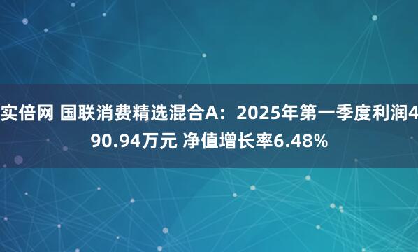 实倍网 国联消费精选混合A：2025年第一季度利润490.94万元 净值增长率6.48%