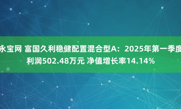永宝网 富国久利稳健配置混合型A：2025年第一季度利润502.48万元 净值增长率14.14%