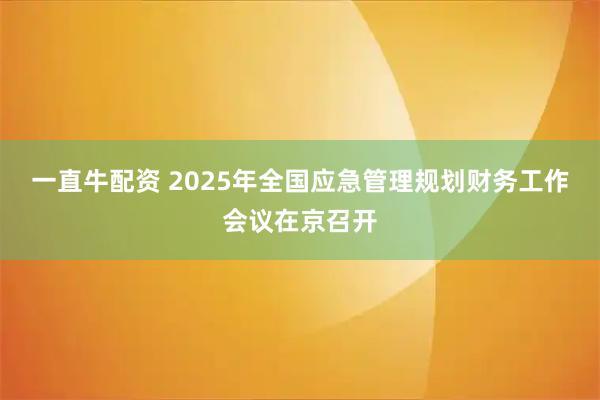 一直牛配资 2025年全国应急管理规划财务工作会议在京召开