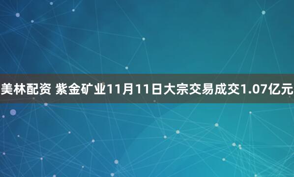 美林配资 紫金矿业11月11日大宗交易成交1.07亿元