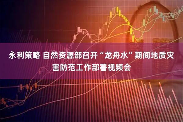 永利策略 自然资源部召开“龙舟水”期间地质灾害防范工作部署视频会