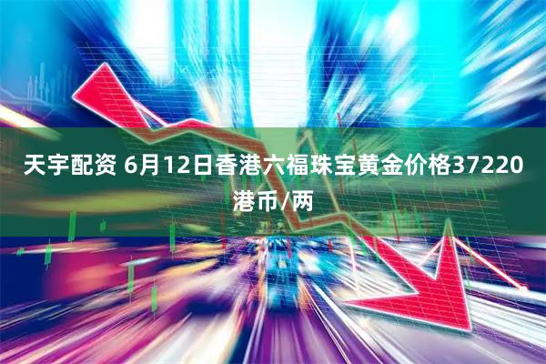 天宇配资 6月12日香港六福珠宝黄金价格37220港币/两