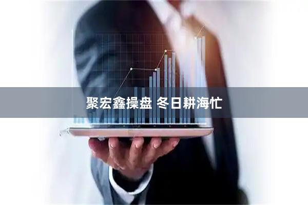 聚宏鑫操盘 冬日耕海忙