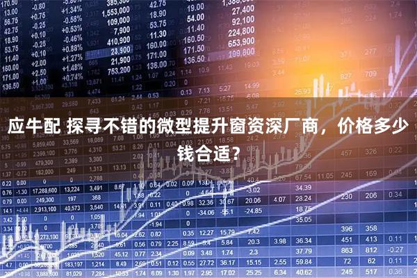 应牛配 探寻不错的微型提升窗资深厂商，价格多少钱合适？