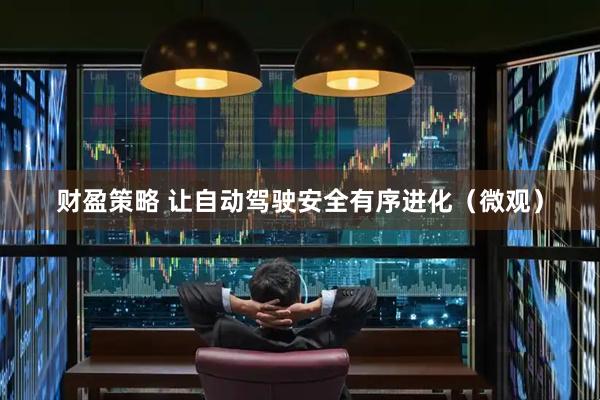 财盈策略 让自动驾驶安全有序进化（微观）