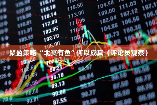 聚盈策略 “北冥有鱼”何以成真（评论员观察）