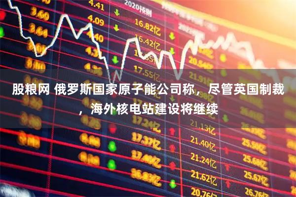 股粮网 俄罗斯国家原子能公司称，尽管英国制裁，海外核电站建设将继续